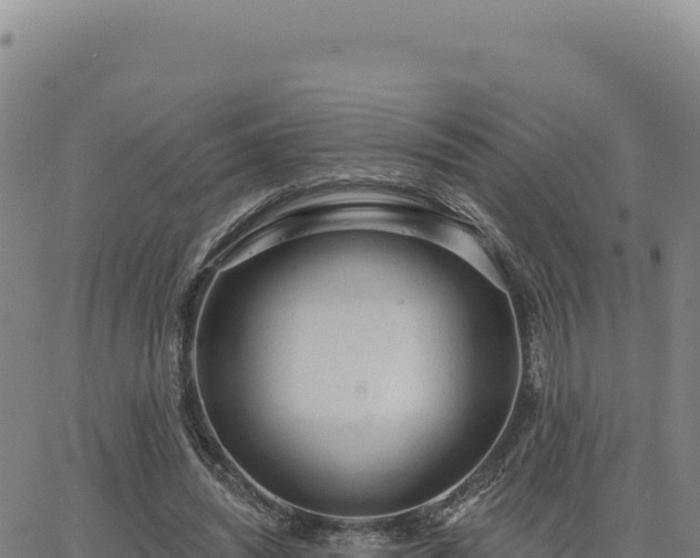 X0000063480444200601271659