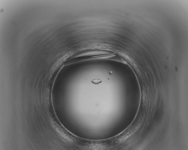 X0000063480445200601271659