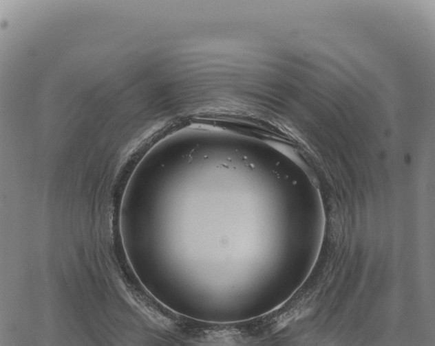 X0000063480446200601271659