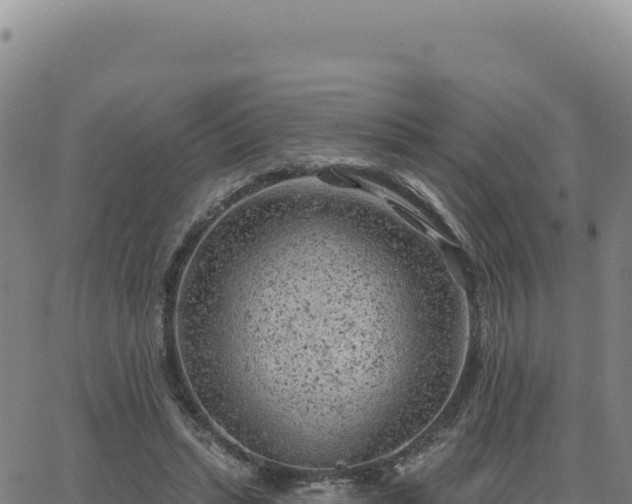 X0000063480447200601271659