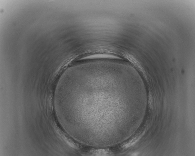 X0000063480449200601271659