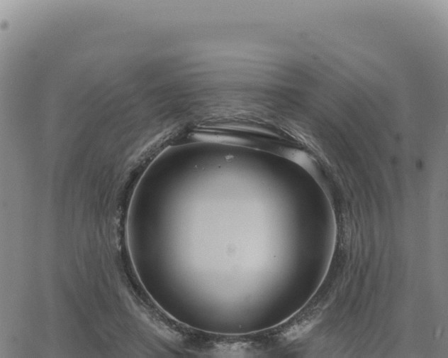 X0000063480450200601271659