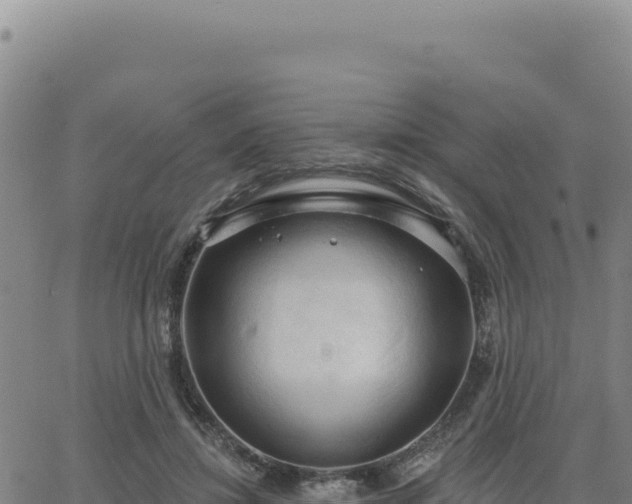 X0000063480452200601271659