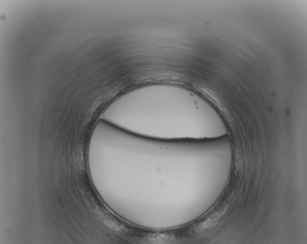 X0000063480453200601271659