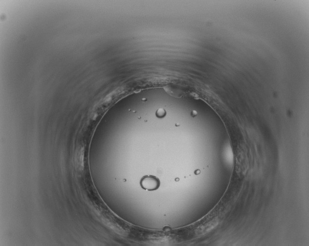 X0000063480454200601271659