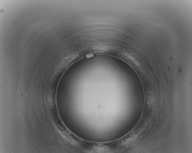 X0000063480455200601271659