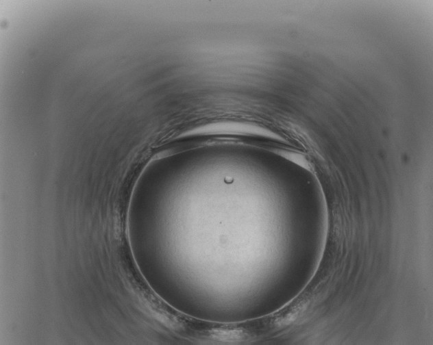 X0000063480457200601271659