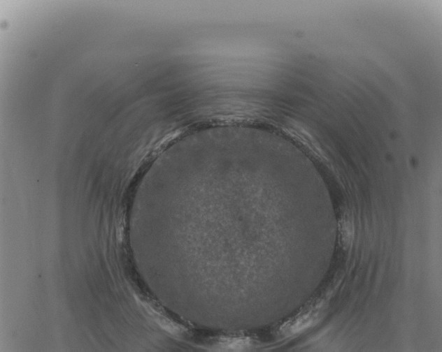 X0000063480458200601271659