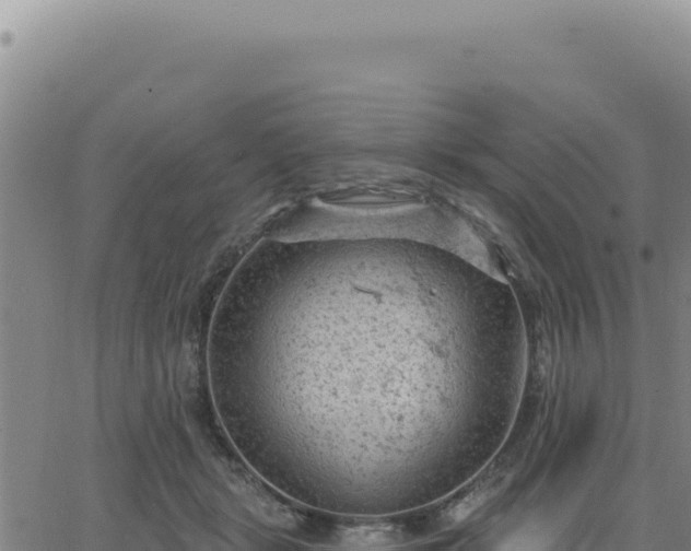 X0000063480461200601271659