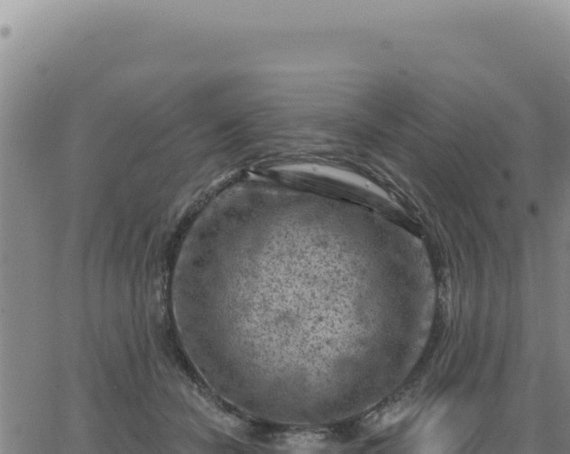 X0000063480462200601271659