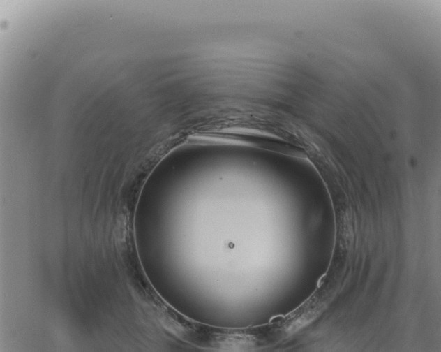 X0000063480463200601271659