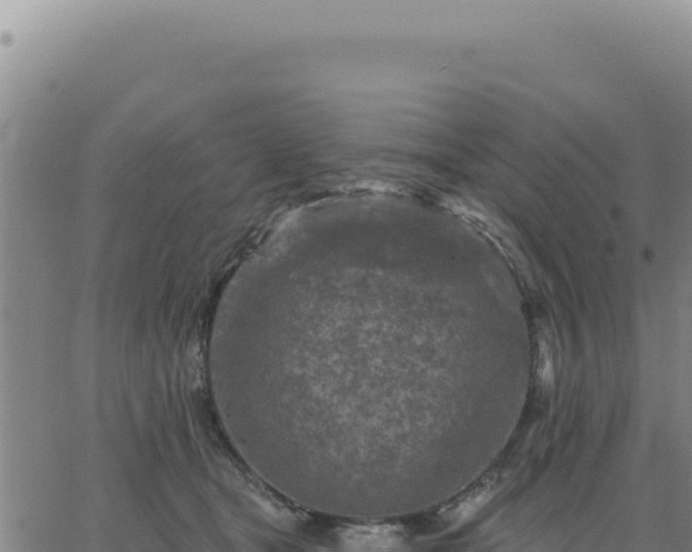 X0000063480465200601271659