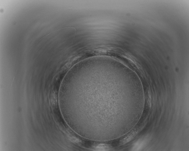 X0000063480467200601271659