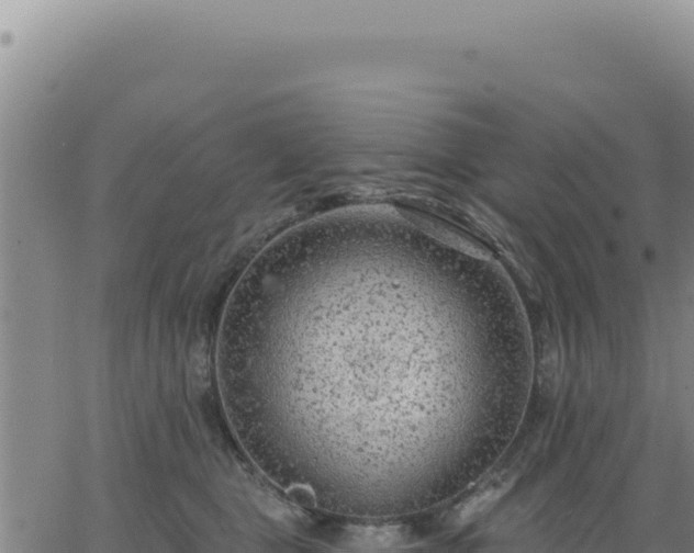 X0000063480469200601271659