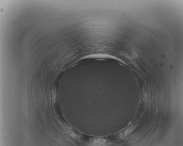 X0000063480471200601271659