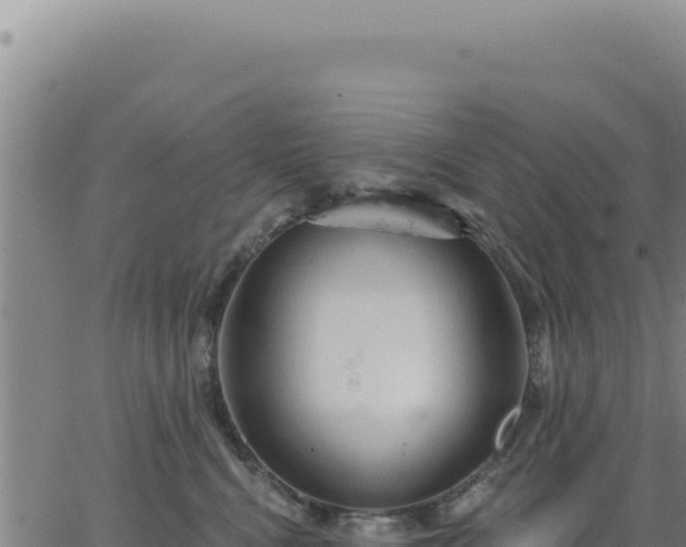 X0000063480472200601271659