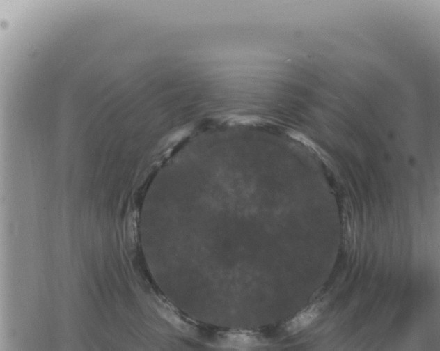 X0000063480475200601271659