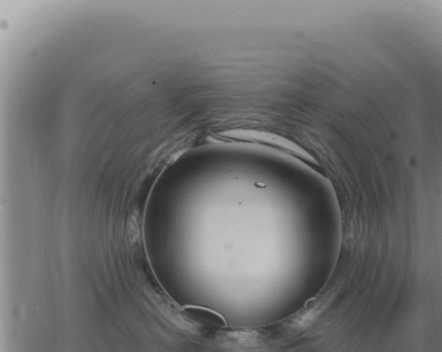 X0000063480478200601271659