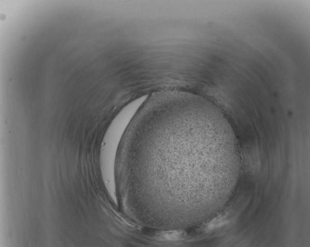 X0000063480479200601271659