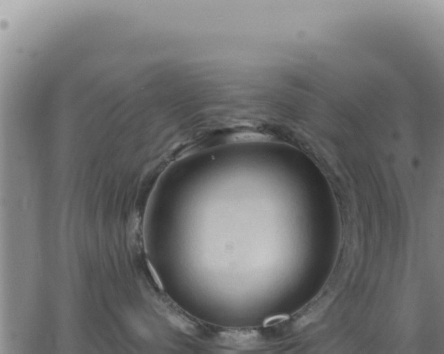 X0000063480480200601271659