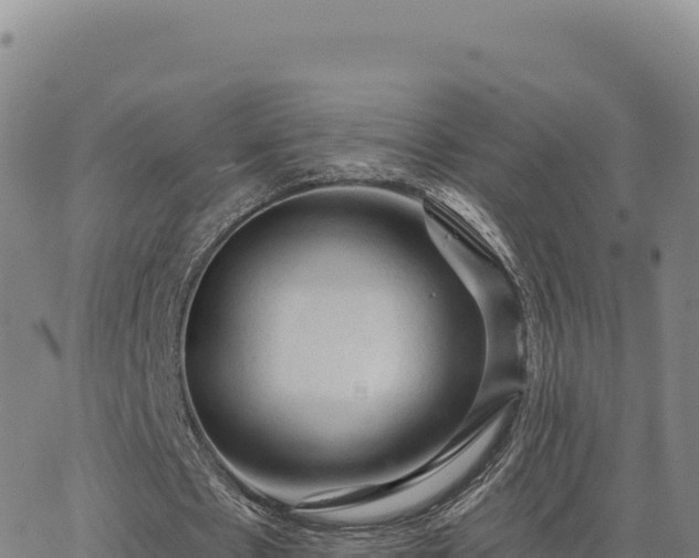 X0000063480481200601271658