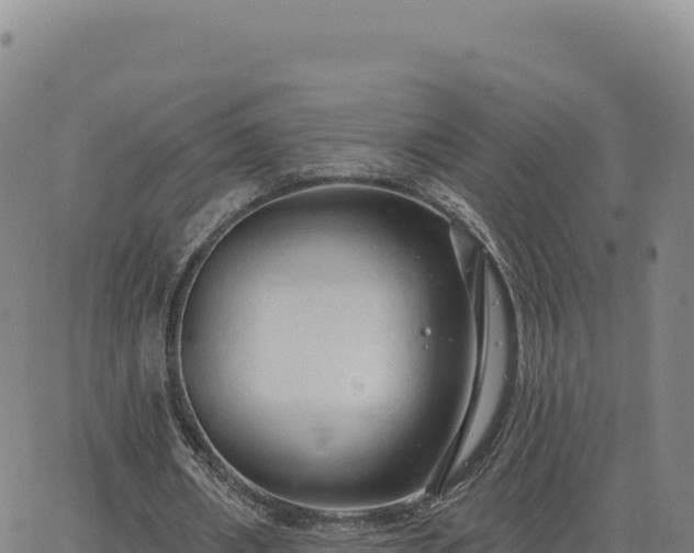 X0000063480482200601271658