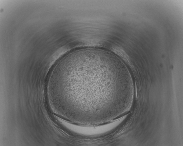 X0000063480483200601271658