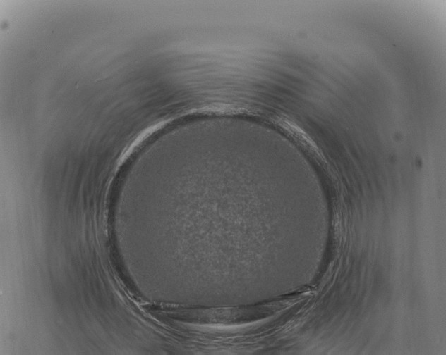 X0000063480484200601271658