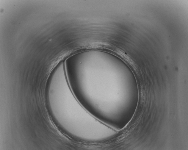 X0000063480485200601271658