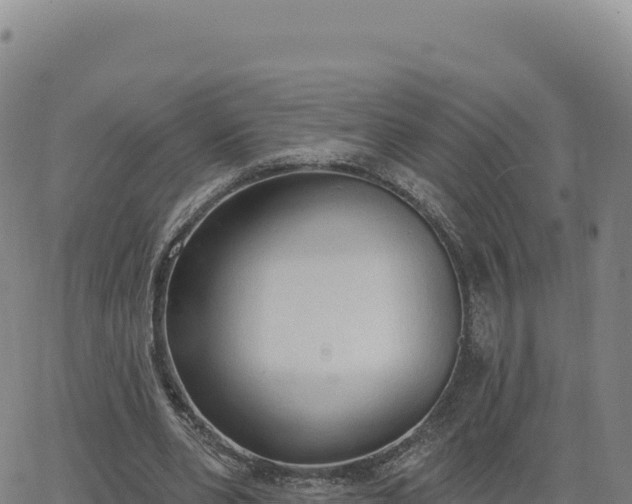 X0000063480486200601271658