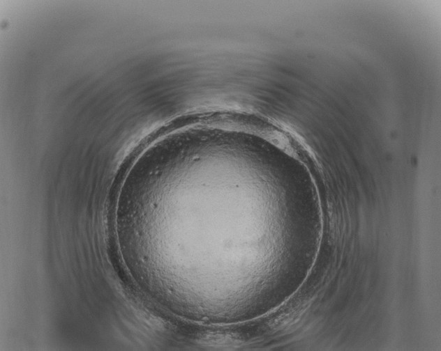 X0000063480487200601271658