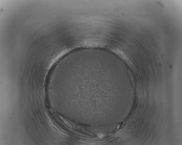 X0000063480488200601271658