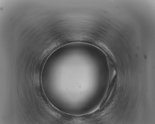 X0000063480489200601271658