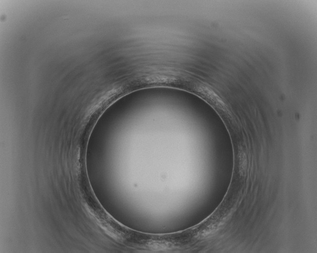 X0000063480490200601271658