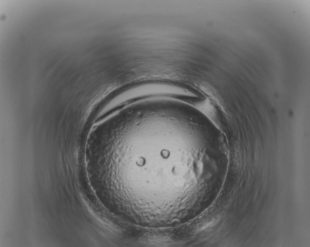 X0000063480491200601271658