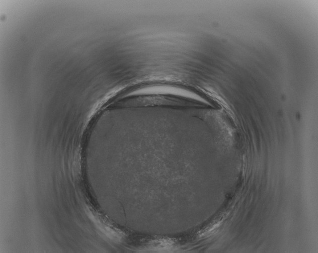 X0000063480492200601271658