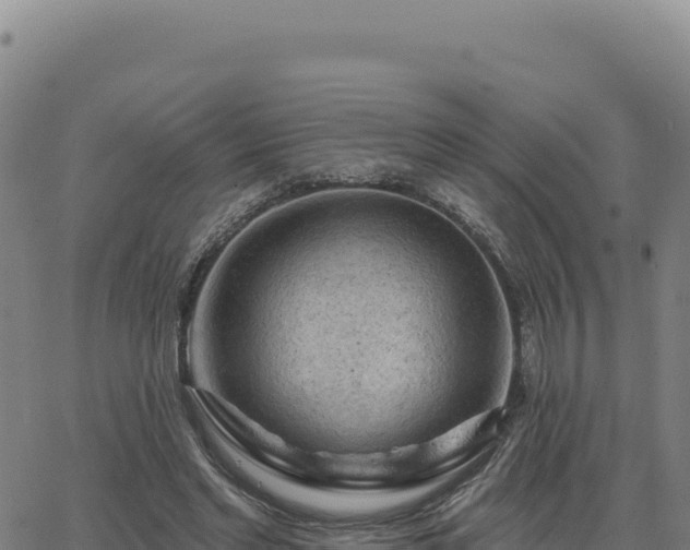 X0000063480493200601271658