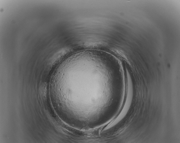 X0000063480495200601271658