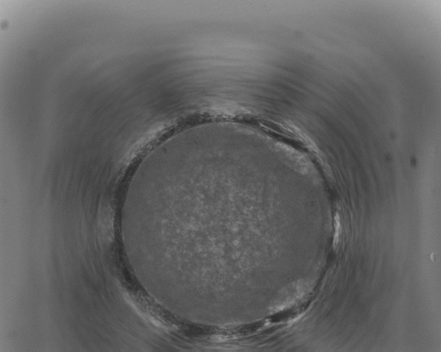 X0000063480496200601271658