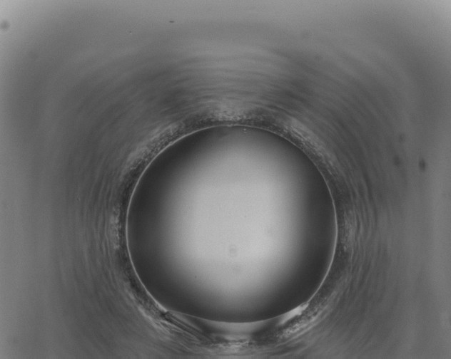 X0000063480497200601271658