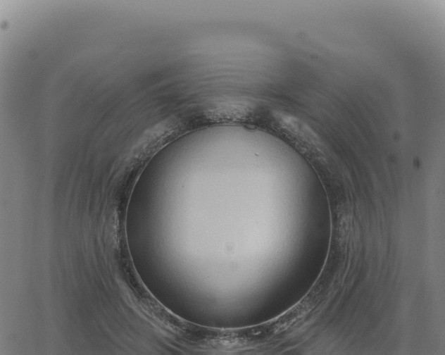 X0000063480498200601271658