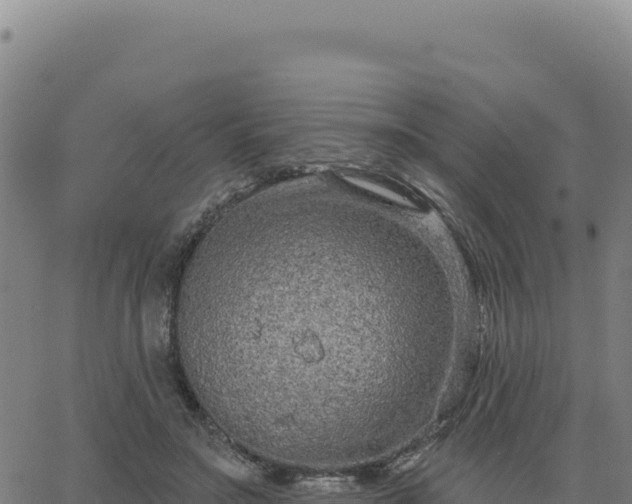 X0000063480499200601271658