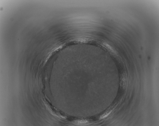 X0000063480500200601271658