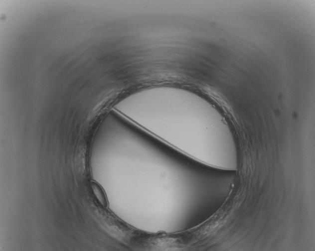 X0000063480501200601271658