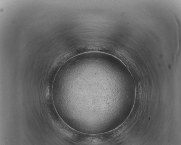 X0000063480502200601271658