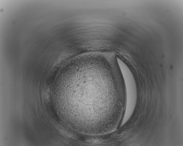 X0000063480503200601271658