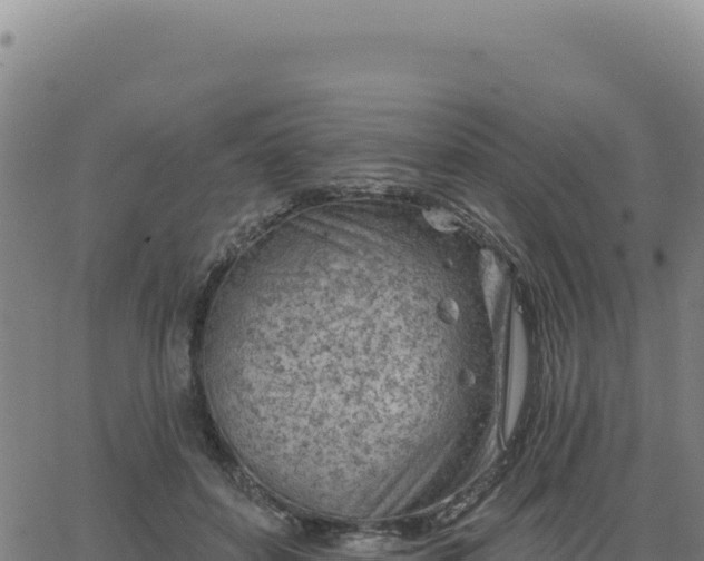 X0000063480504200601271658