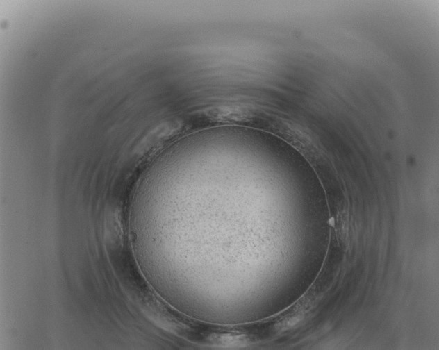 X0000063480506200601271658