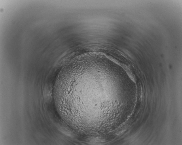 X0000063480507200601271658