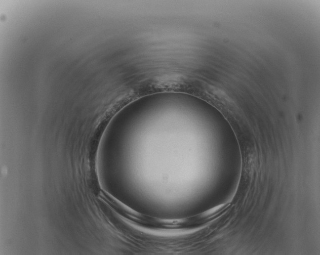 X0000063480508200601271658